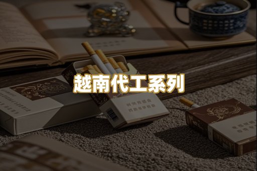 越南代工系列